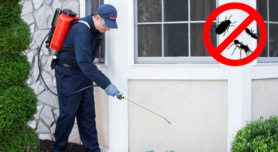 Gümüşhacıköy Uçan Haşere İlaçlama böcek ilaçlama ve haşere kontrolü — ilaclama-tr.com
